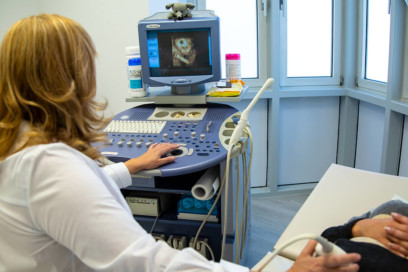 Frauenärztin Weinheim Dr. Kudlich - Ultraschall ist eine unserer Leistungen